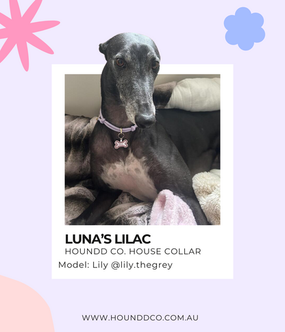 House Collar - Luna&