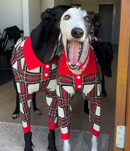 The Christmas Polo