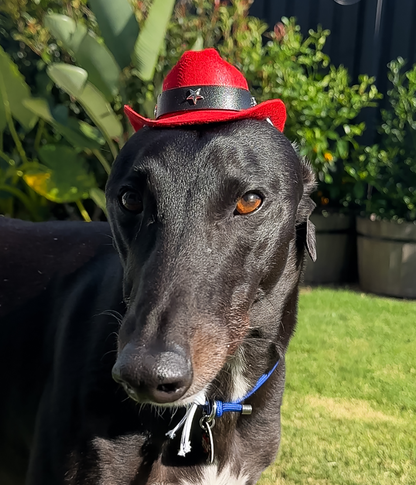 Cowboy Hat - Red