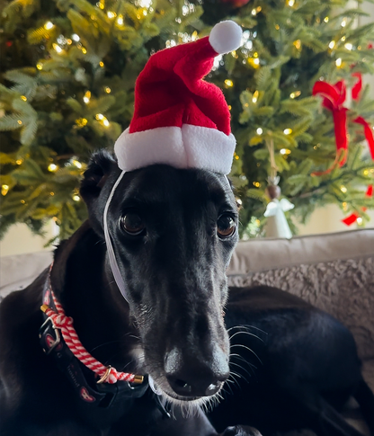 Christmas Hat