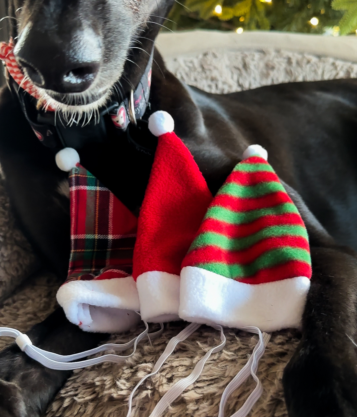 Christmas Hat