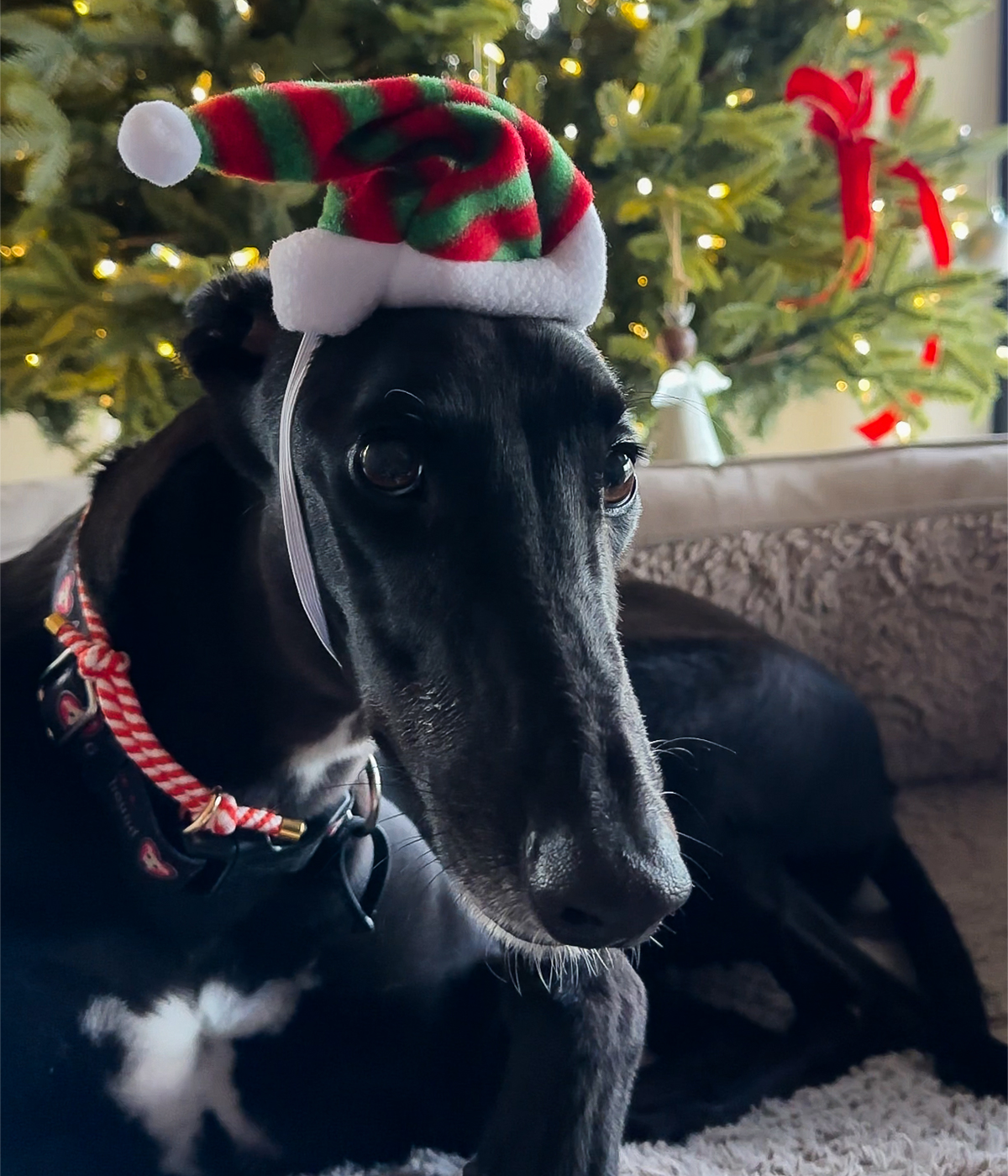 Christmas Hat