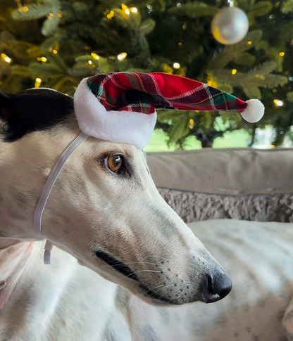 Christmas Hat