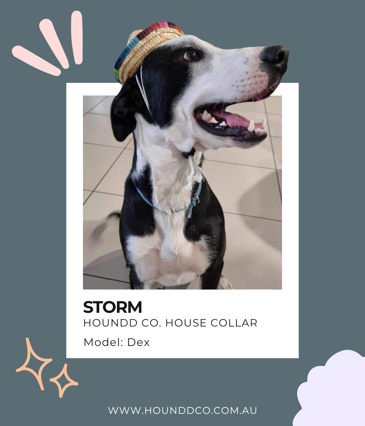 House Collar - Storm